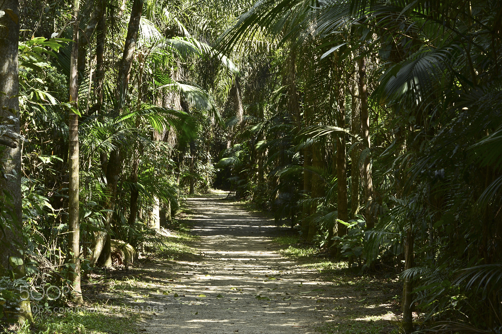Nikon D7100 sample photo. Caminhos a seguir. photography