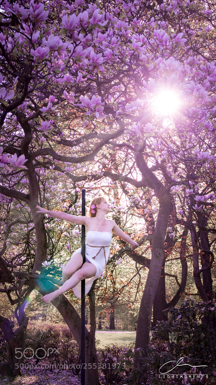 Canon EOS 80D sample photo. Spring poleart photography