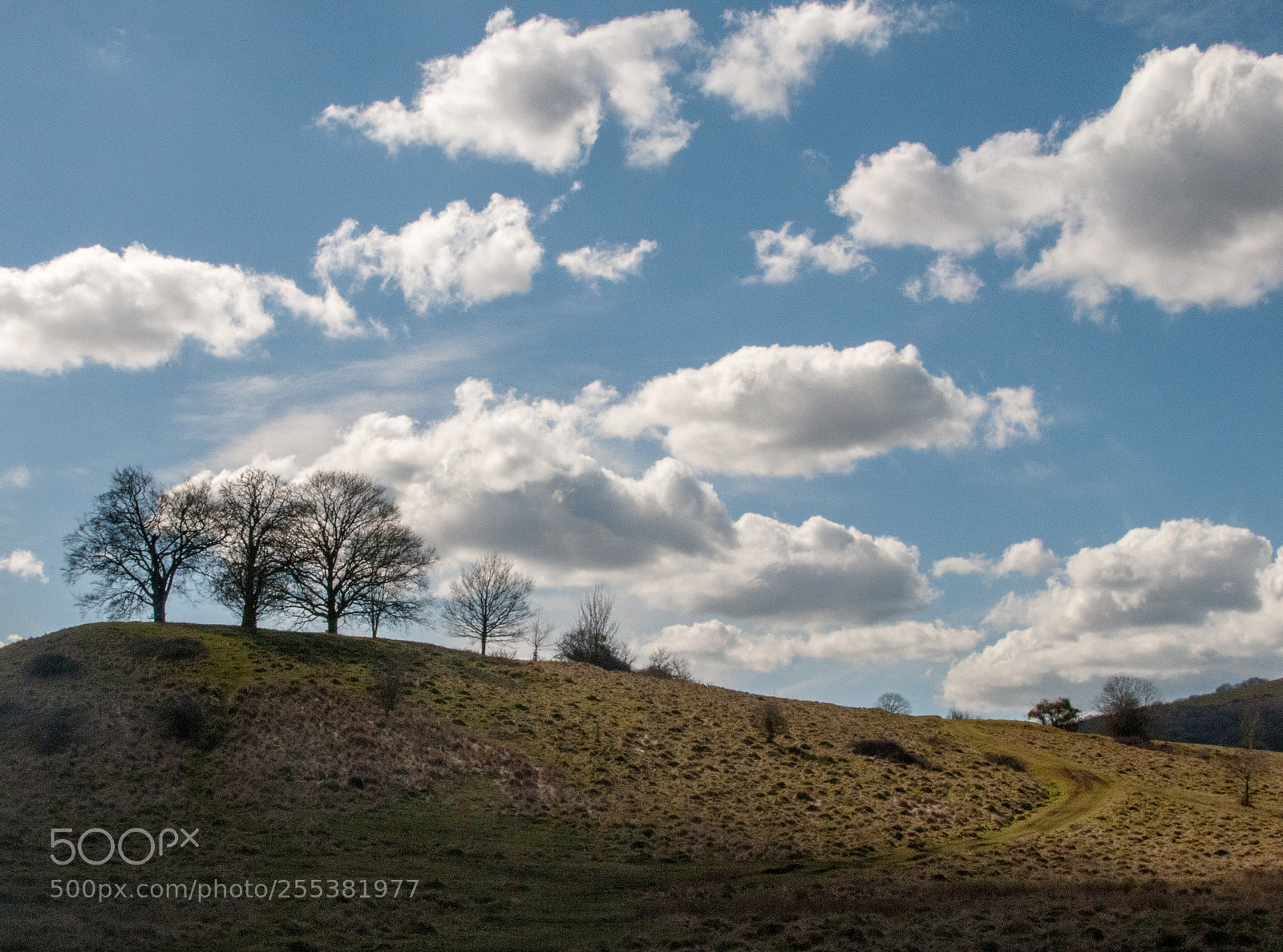 Nikon D300 sample photo. Coombe green hillock photography