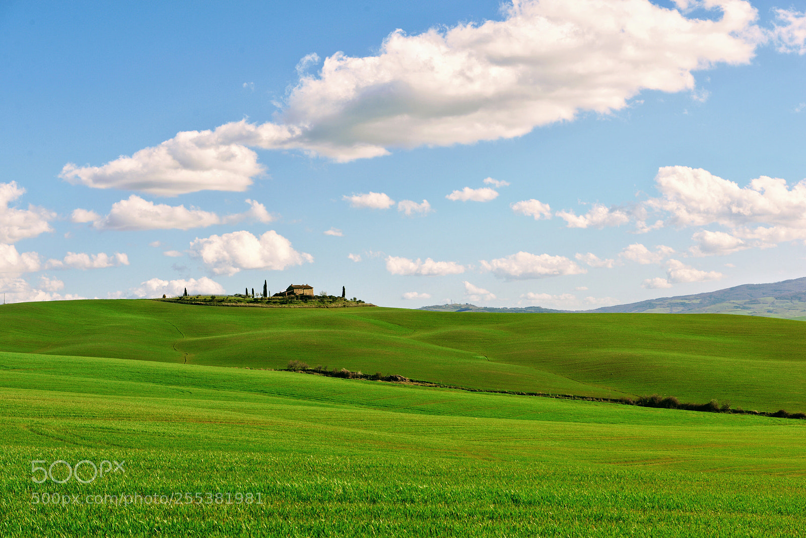 Nikon D610 sample photo. Toscana photography