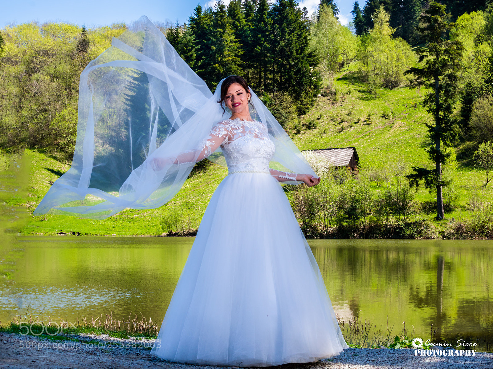 Nikon D5600 sample photo. My beautiful bride photography