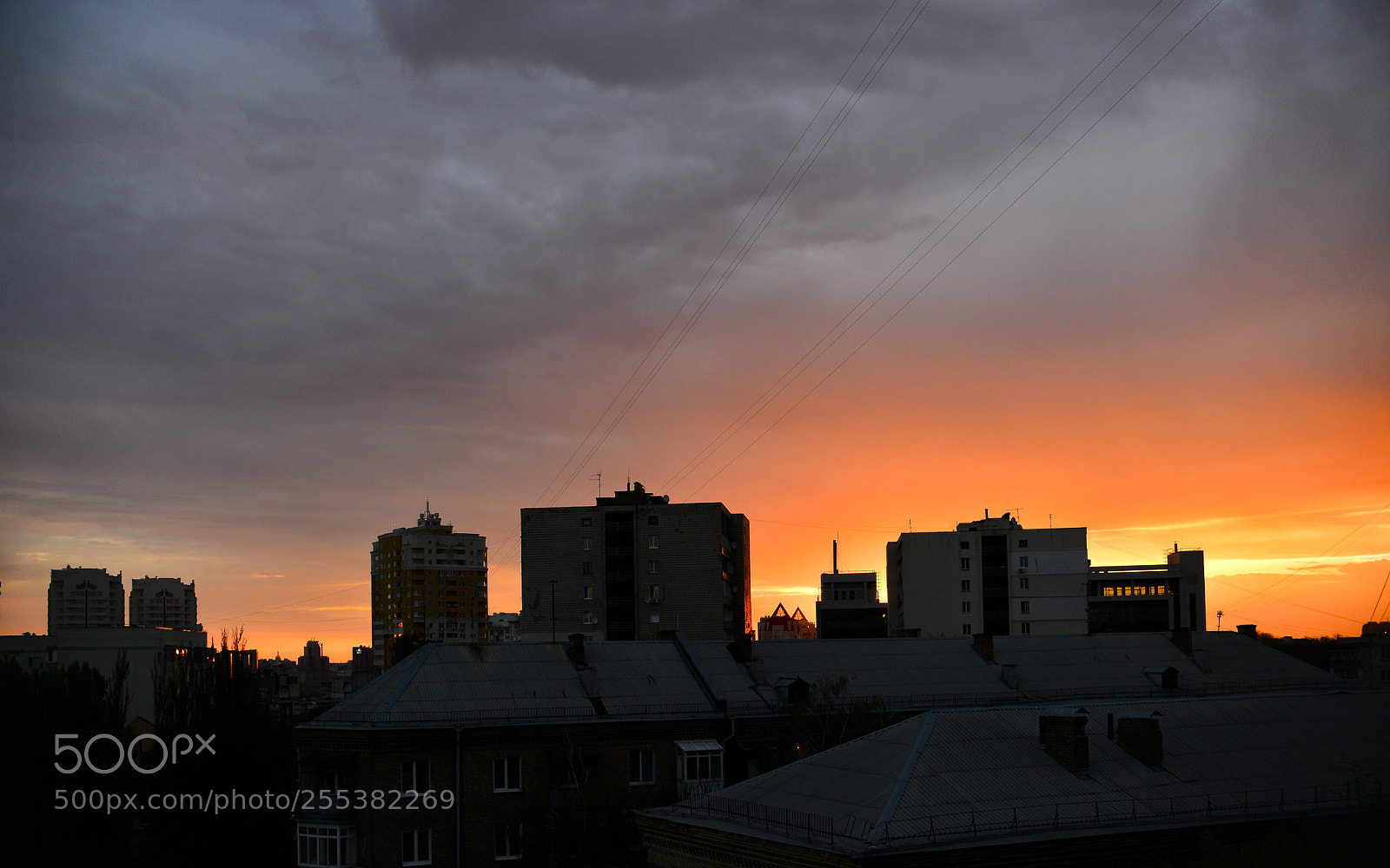 Nikon D800 sample photo. Kiev photography