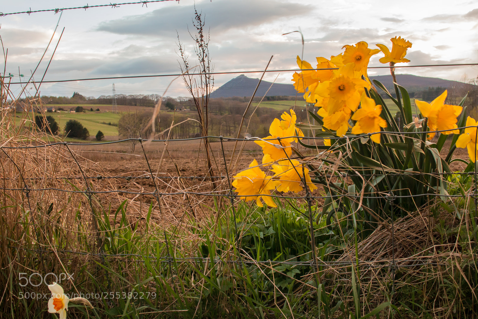 Canon EOS 70D sample photo. Spring photography