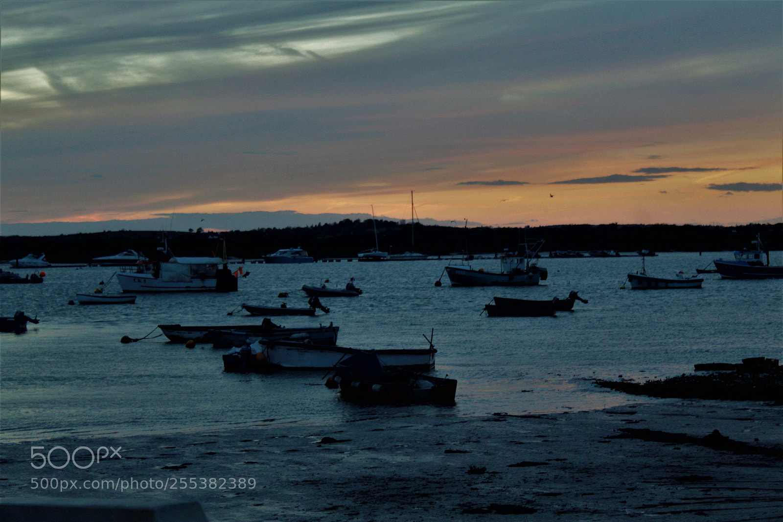 Canon EOS 1300D (EOS Rebel T6 / EOS Kiss X80) sample photo. Mersea photography