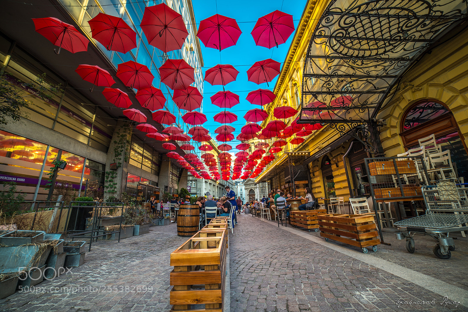 Nikon D600 sample photo. Red umbrella photography