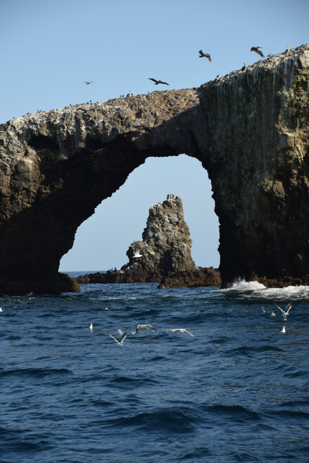 Nikon D5300 sample photo. Rock formations, anacapa island. channel islands national park. california photography