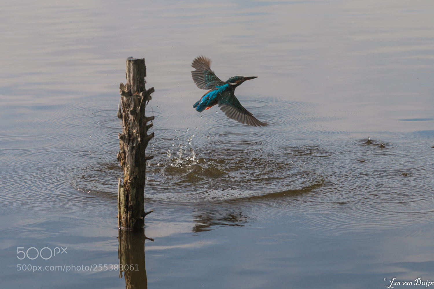 Canon EOS 70D sample photo. After a dip in photography