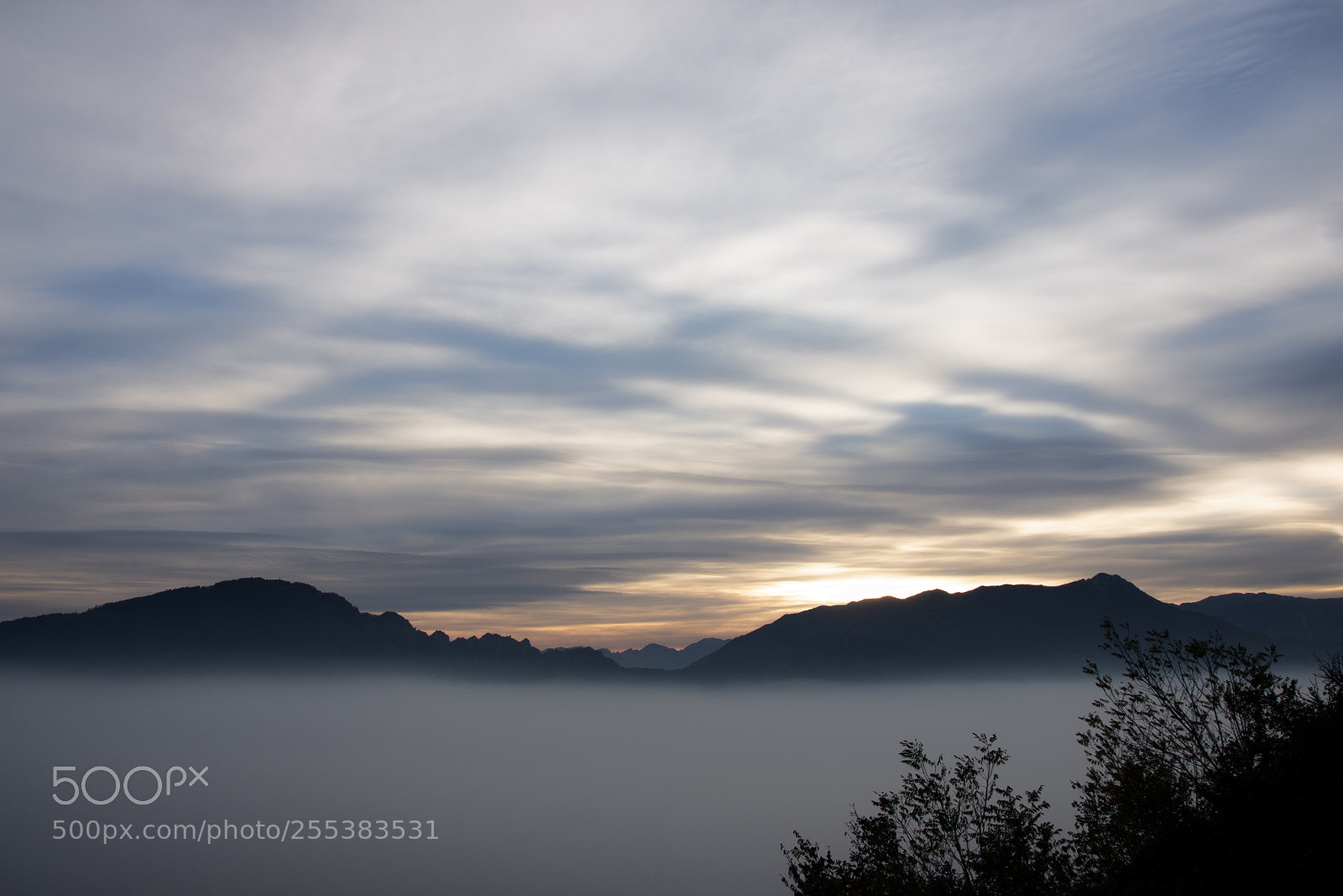 Nikon D7200 sample photo. Misty photography