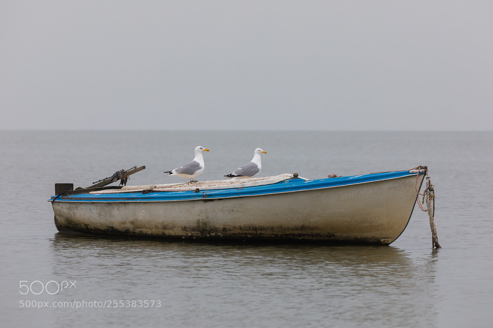 Canon EOS 5D Mark IV sample photo. Two captains photography
