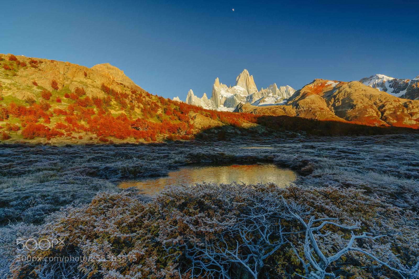 Sony a7R II sample photo. View of fitz roy photography