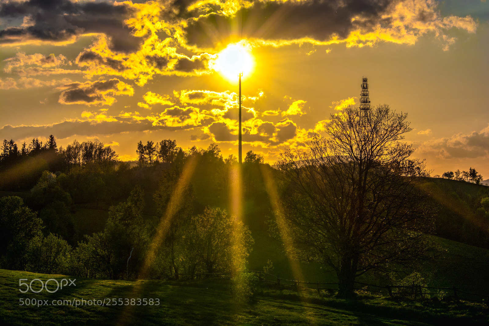 Nikon D7100 sample photo. Spring sunset photography