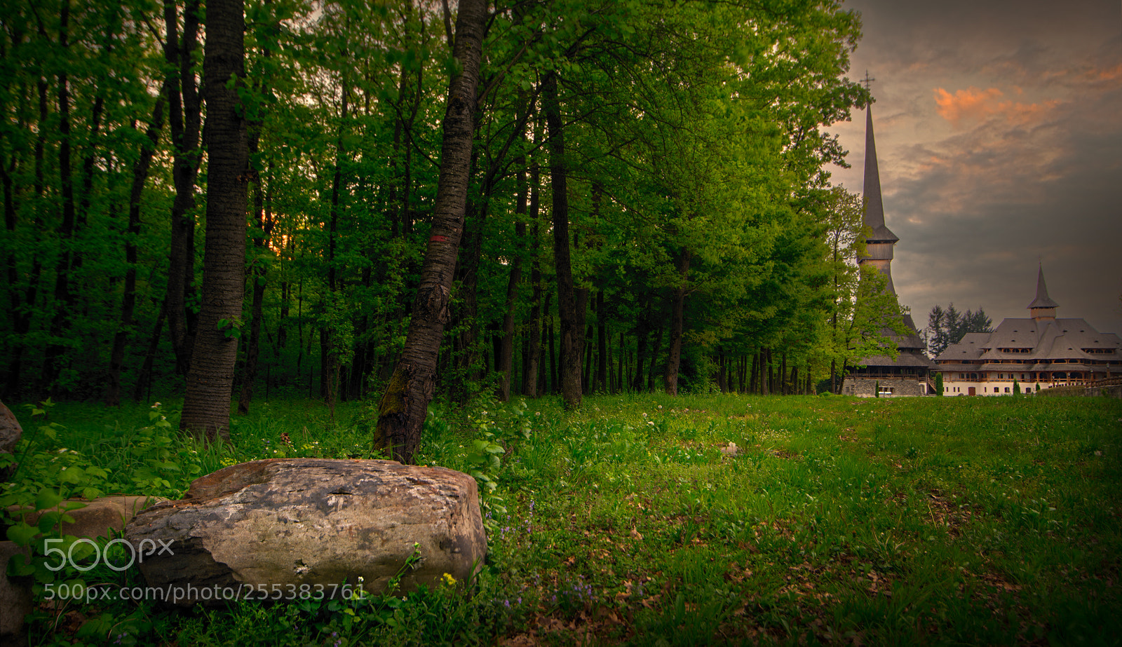 Nikon D850 sample photo. Spiritual mood photography