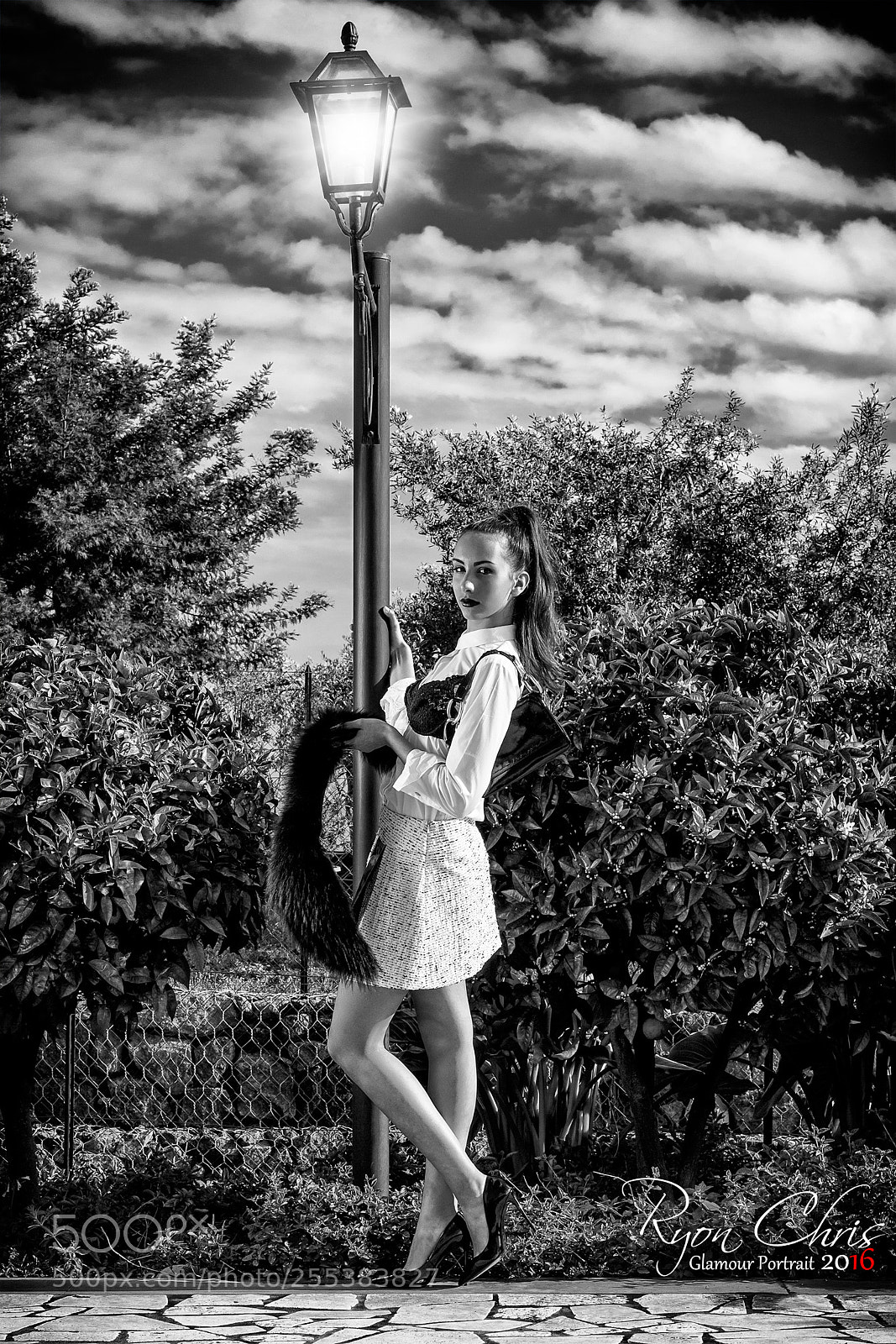 Canon EOS 650D (EOS Rebel T4i / EOS Kiss X6i) sample photo. Street lamp b/w photography