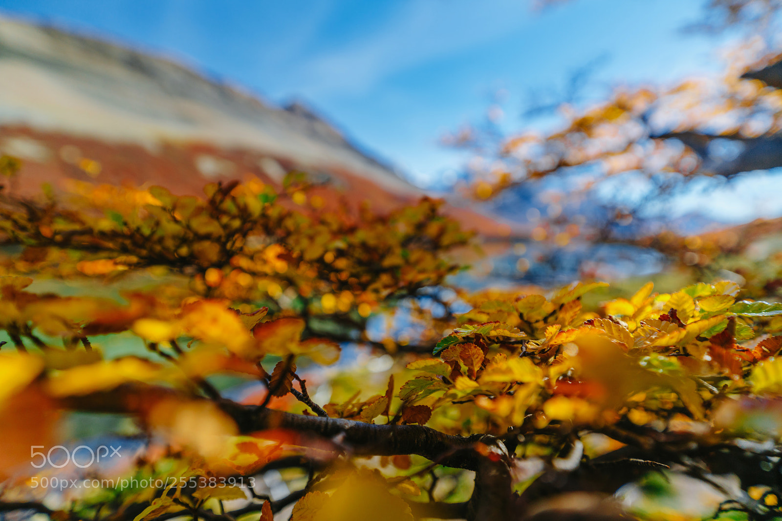 Sony a7R II sample photo. Lakes in the national photography