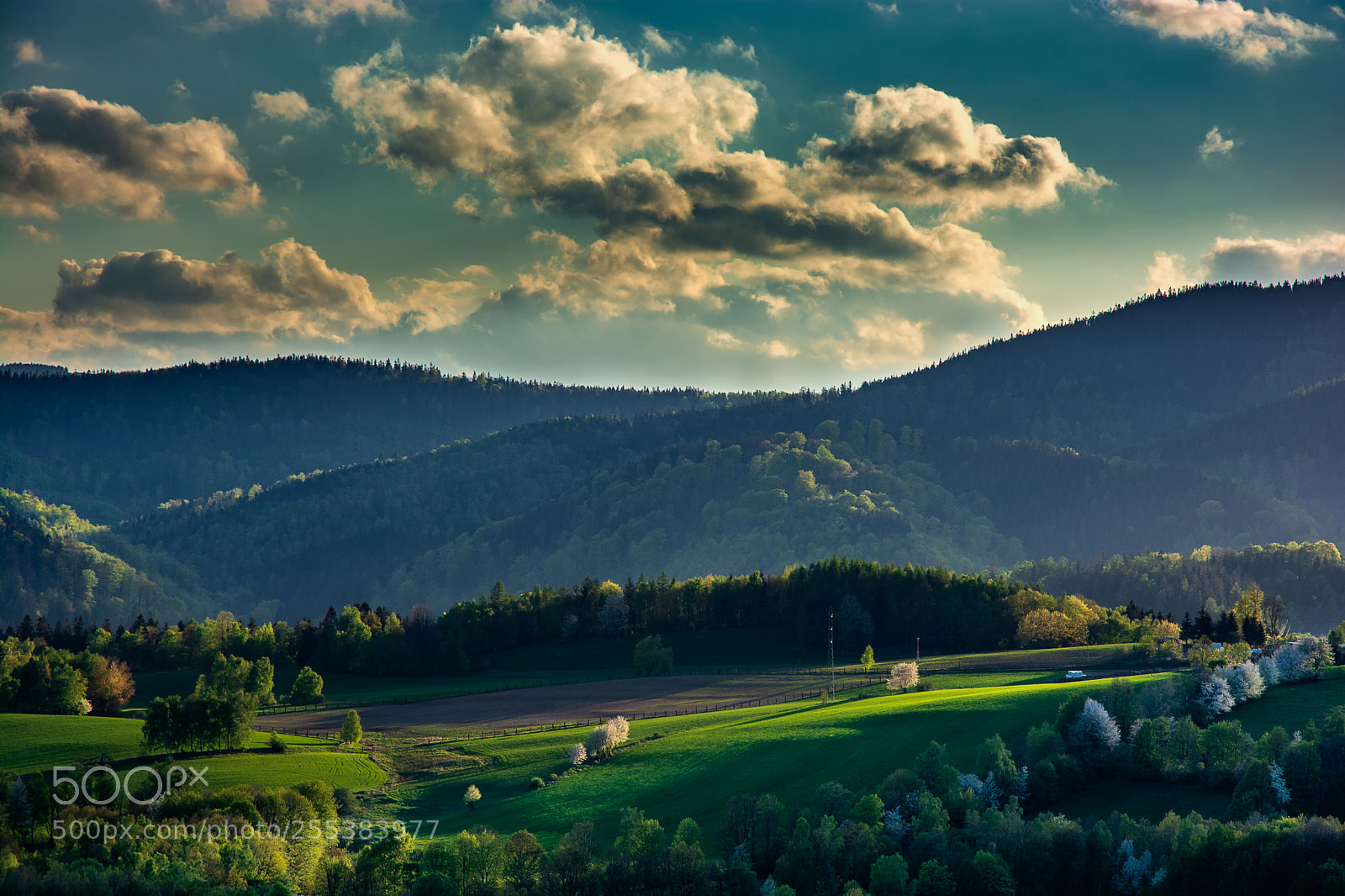 Nikon D7100 sample photo. Spring sunset photography