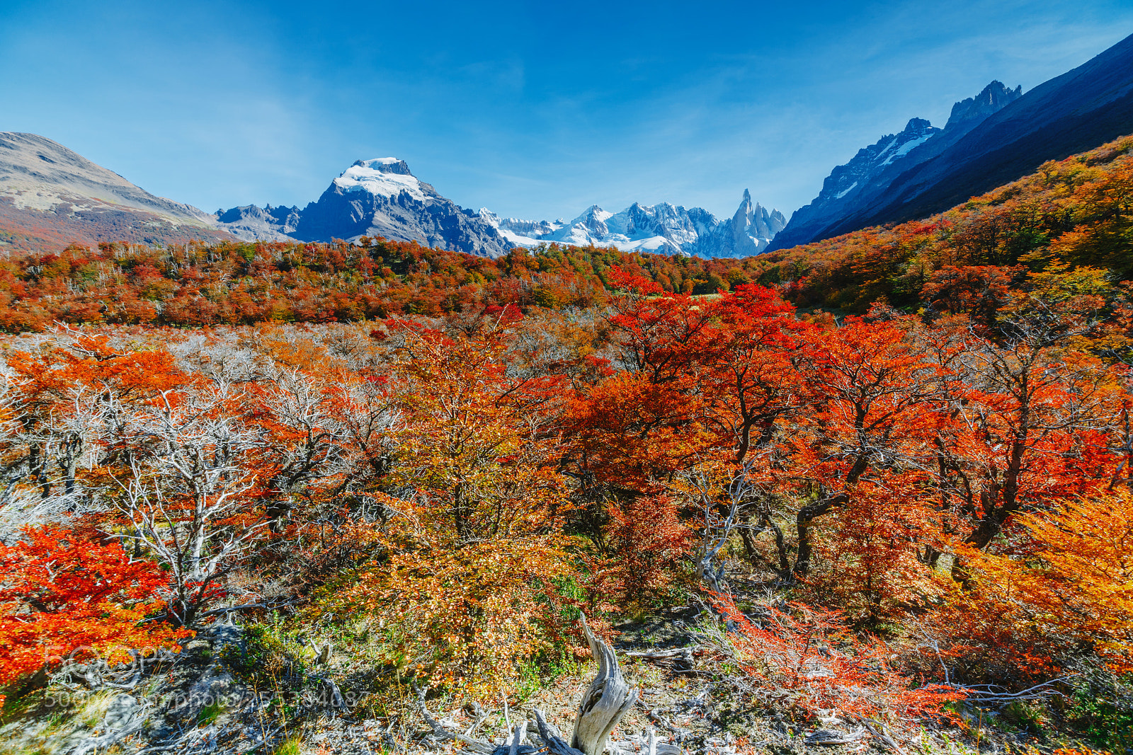 Sony a7R II sample photo. Bright colors of autumn photography