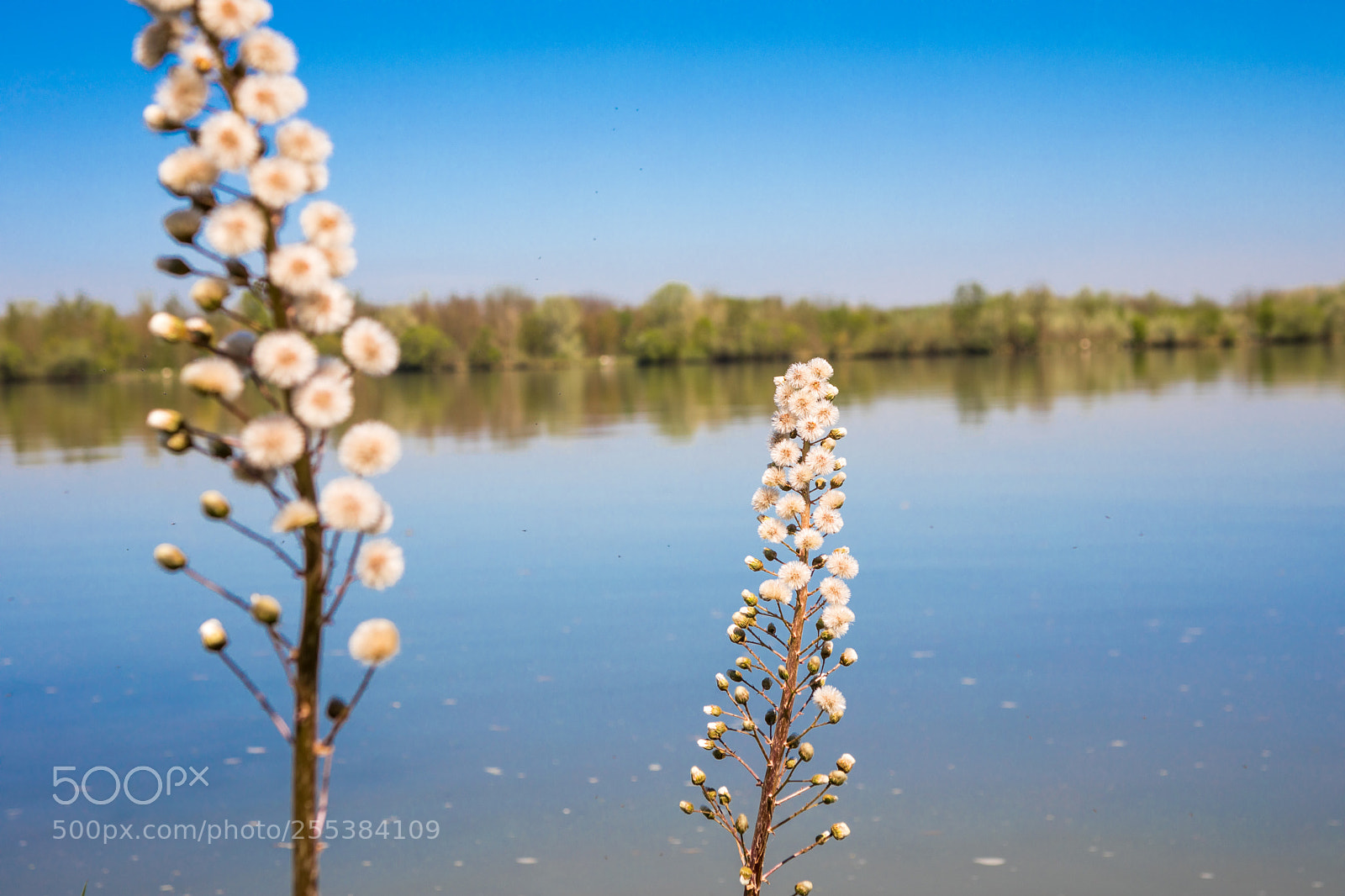Canon EOS 5D Mark IV sample photo. Sunny riverside photography