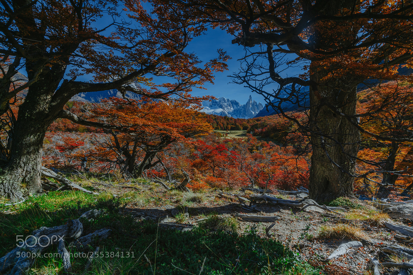 Sony a7R II sample photo. Bright colors of autumn photography