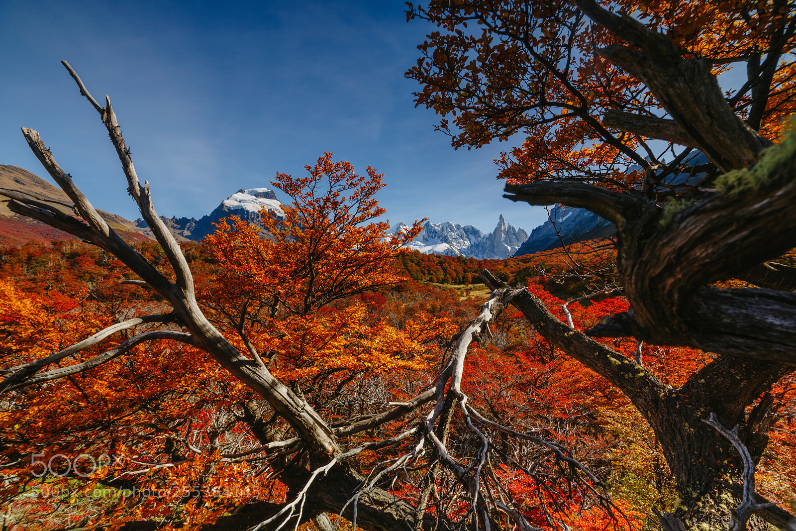 Sony a7R II sample photo. Bright colors of autumn photography