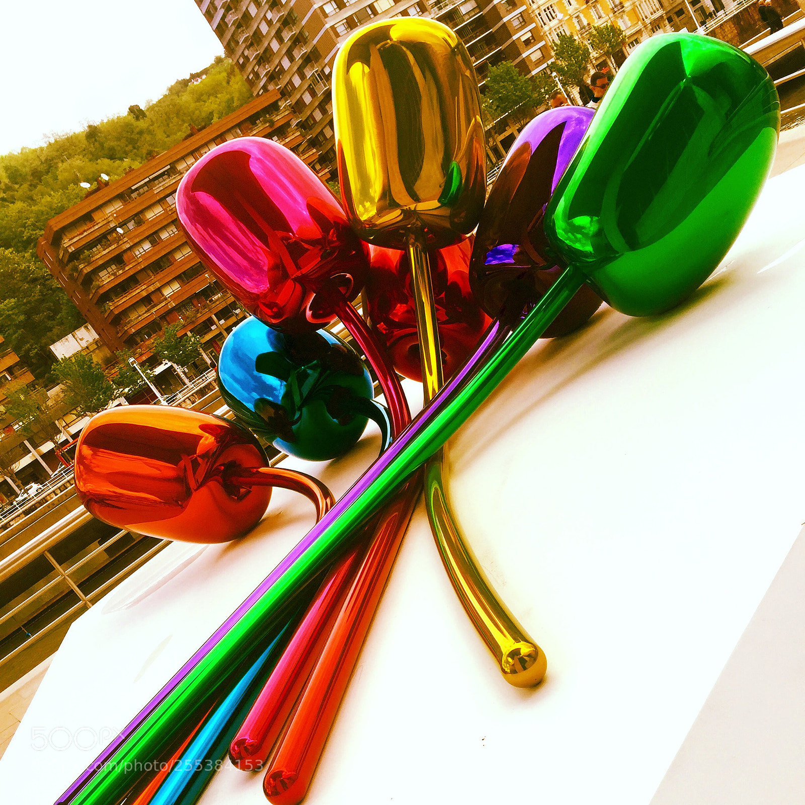 Apple iPhone 6 sample photo. Tulips by koons photography