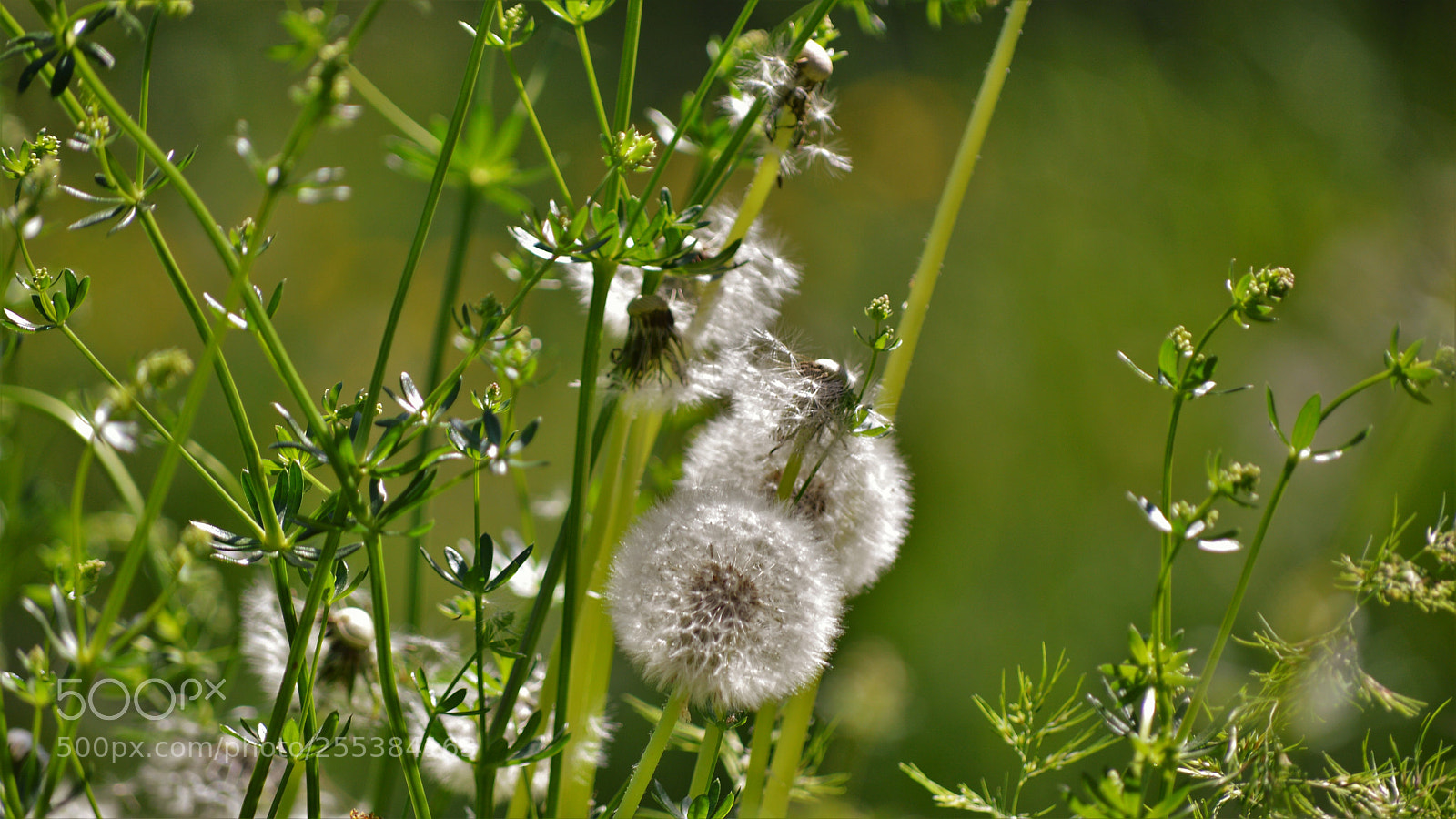 Nikon D3200 sample photo. Untitled photography
