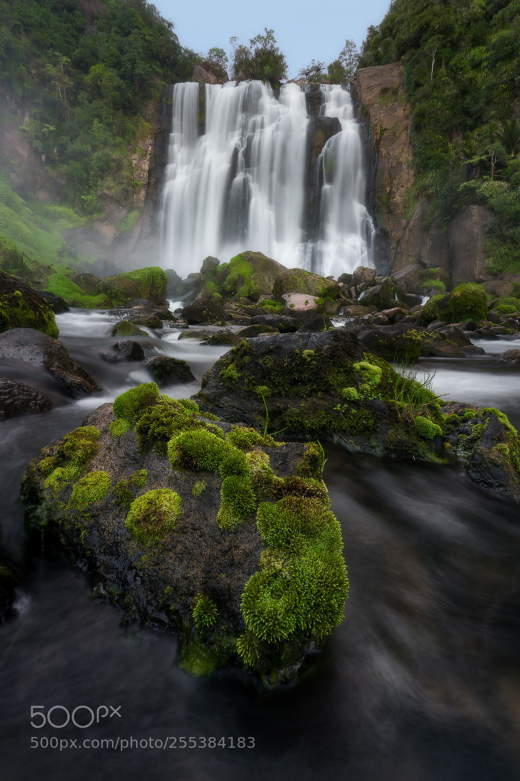 Sony a7R II sample photo. Marokopa moss photography