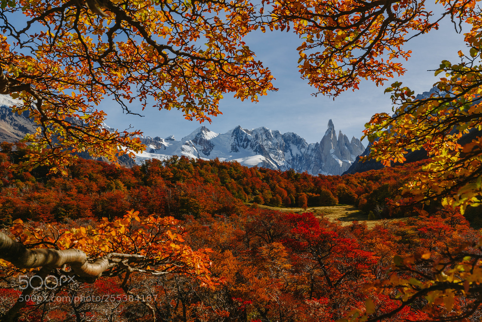 Sony a7R II sample photo. Bright colors of autumn photography