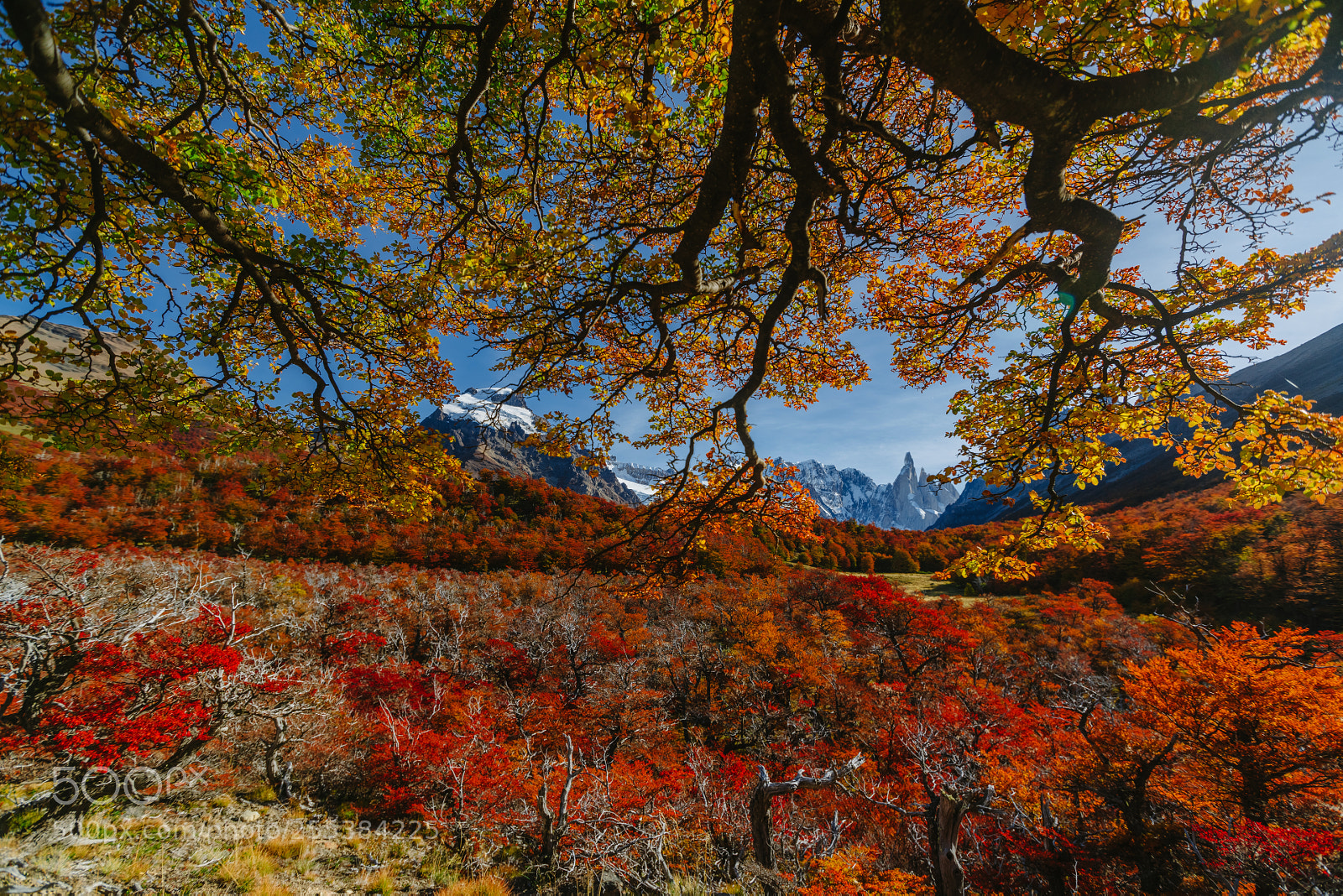 Sony a7R II sample photo. Bright colors of autumn photography
