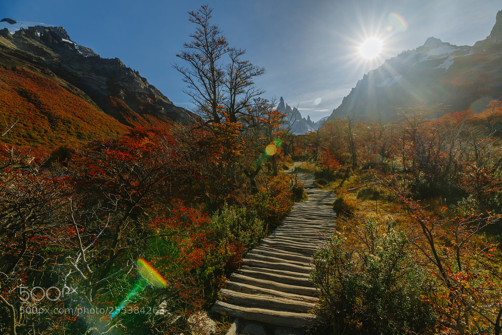 Sony a7R II sample photo. A wooden walkway in photography