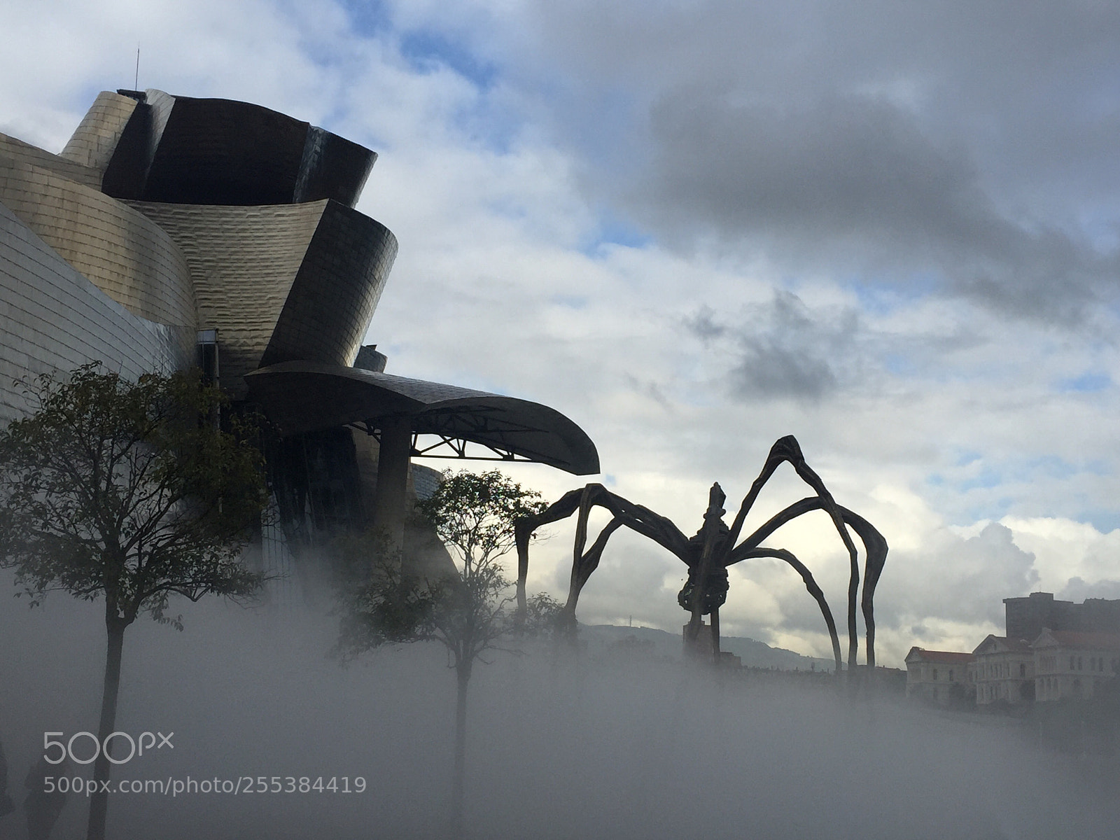 Apple iPhone 6 sample photo. Mama in fog
 photography