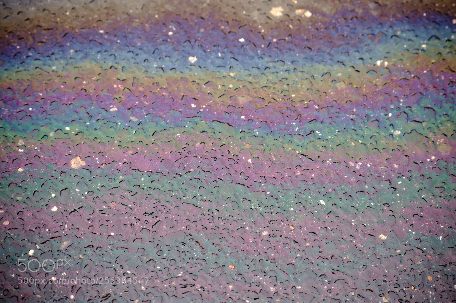 Sony a7 II sample photo. Shimmering oil trail on photography