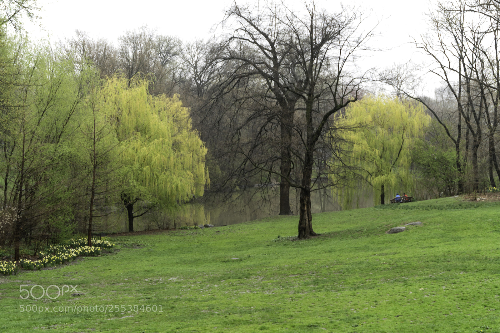 Sony a7R II sample photo. Central park north photography