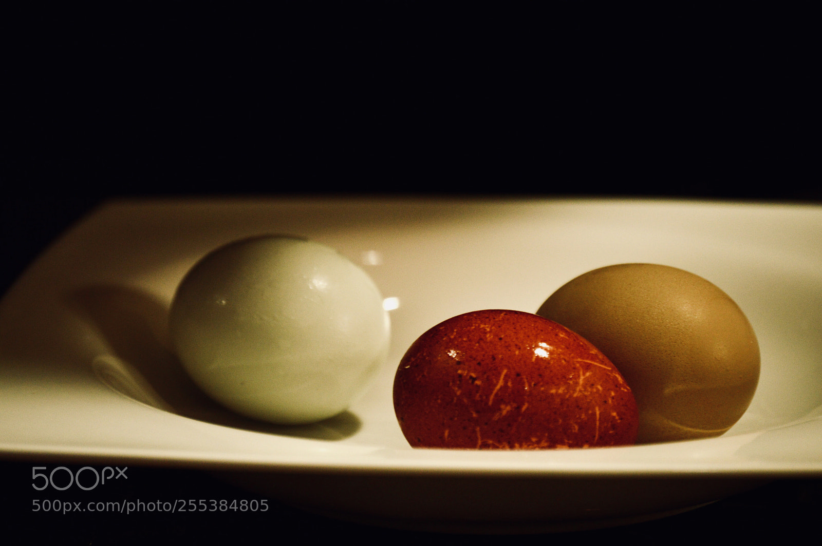 Nikon D3200 sample photo. Untitled photography