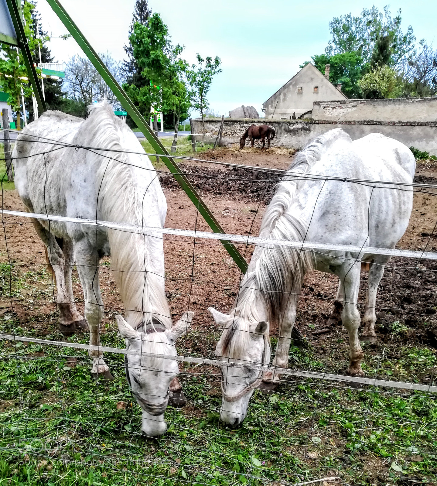 HUAWEI PRA-LX1 sample photo. Untitled photography