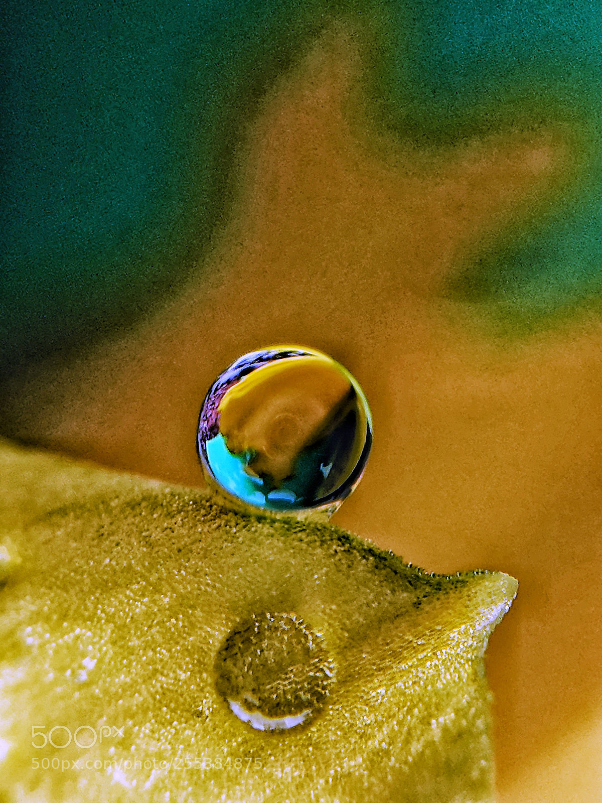 Google Pixel XL sample photo. Impressionistic water drop photography