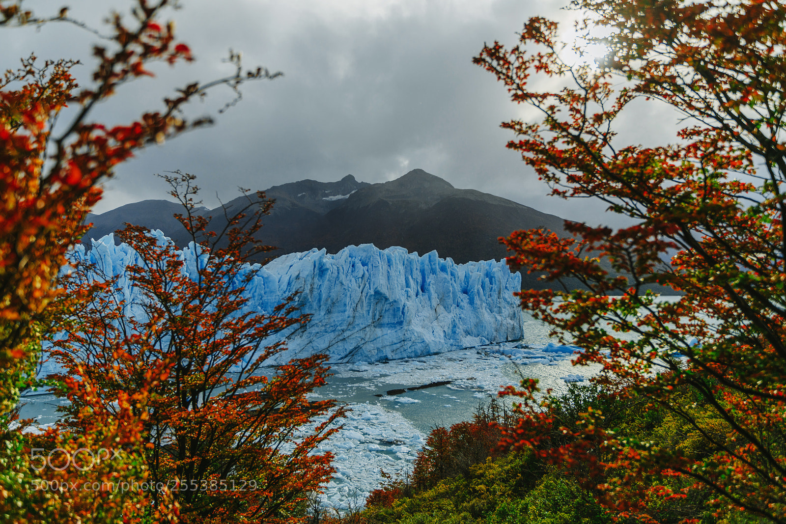 Sony a7R II sample photo. Glacier perito moreno in photography