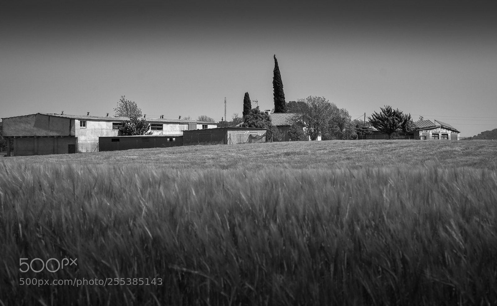 Nikon D7100 sample photo. Pla de vidreres photography