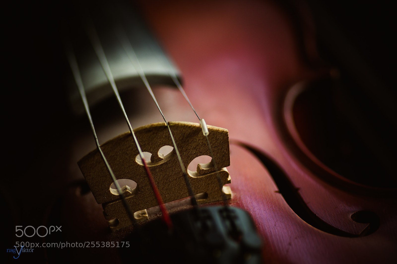 Sony SLT-A68 sample photo. Violin photography