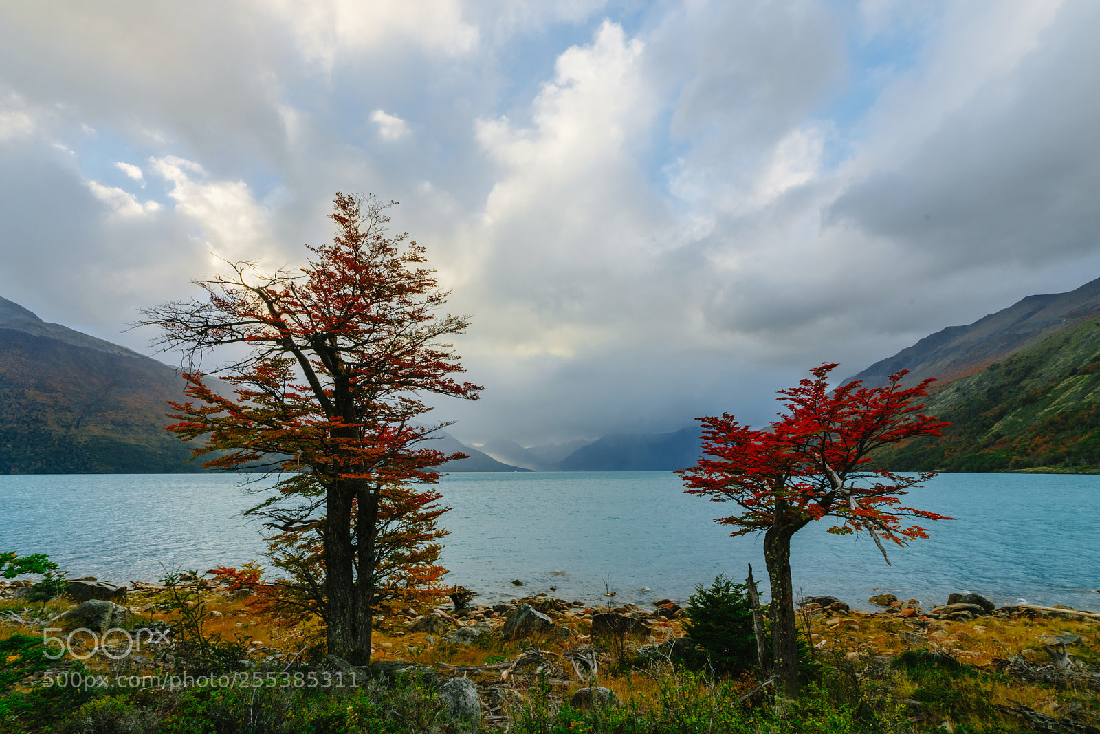 Sony a7R II sample photo. Glacier perito moreno in photography