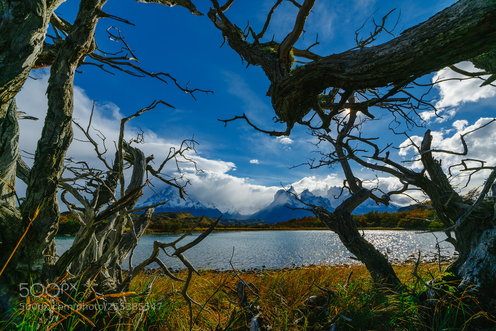 Sony a7R II sample photo. View of torres mountains photography