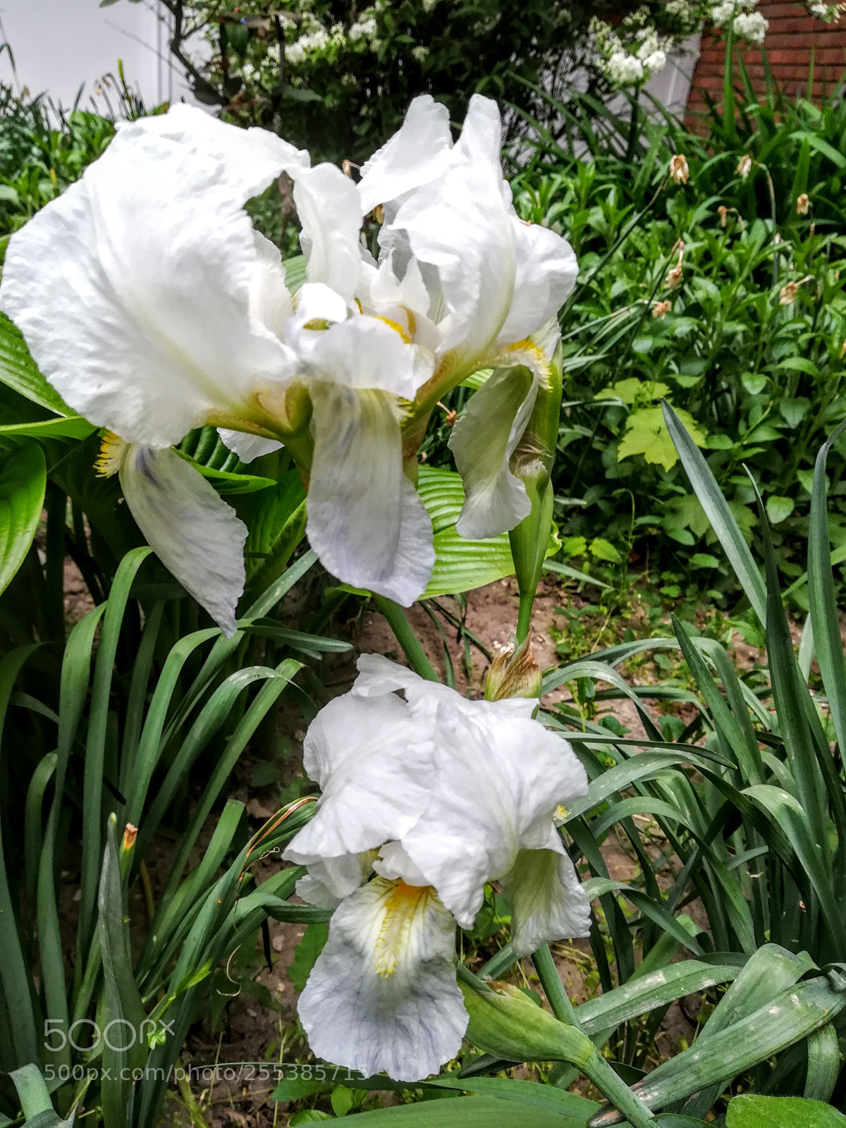 HUAWEI PRA-LX1 sample photo. Untitled photography