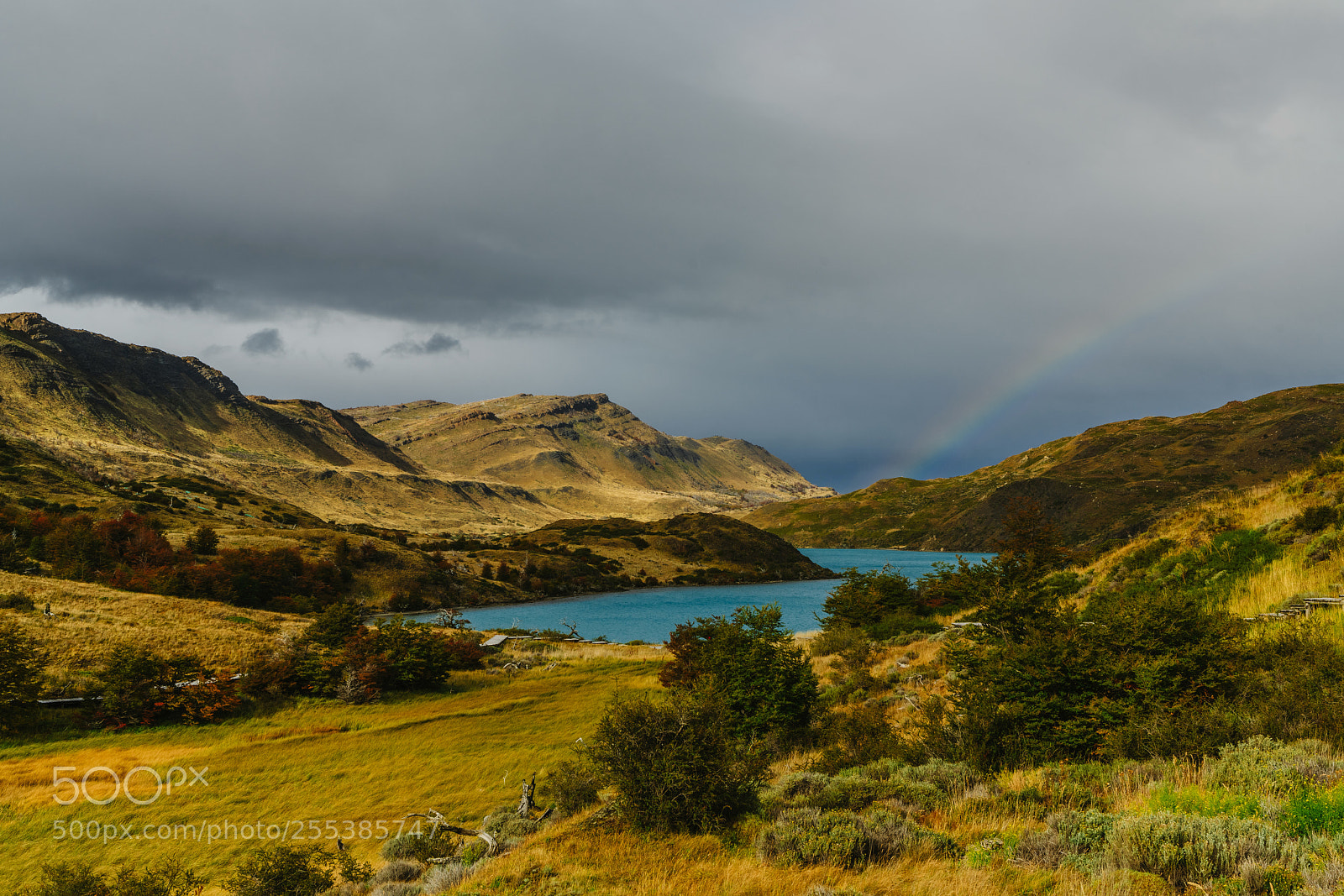 Sony a7R II sample photo. View of a lake photography