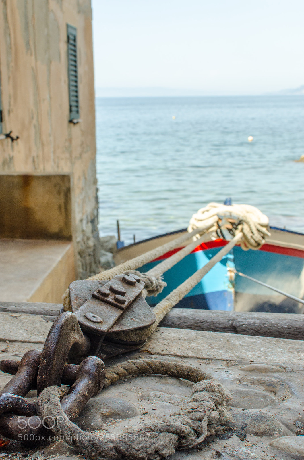 Nikon D7000 sample photo. Dsc_0397-2.jpg photography