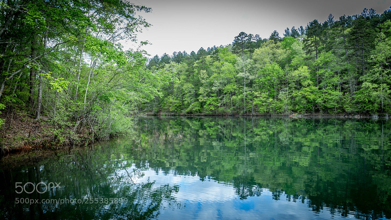 Canon EOS M sample photo. Oconee seneca sc real photography