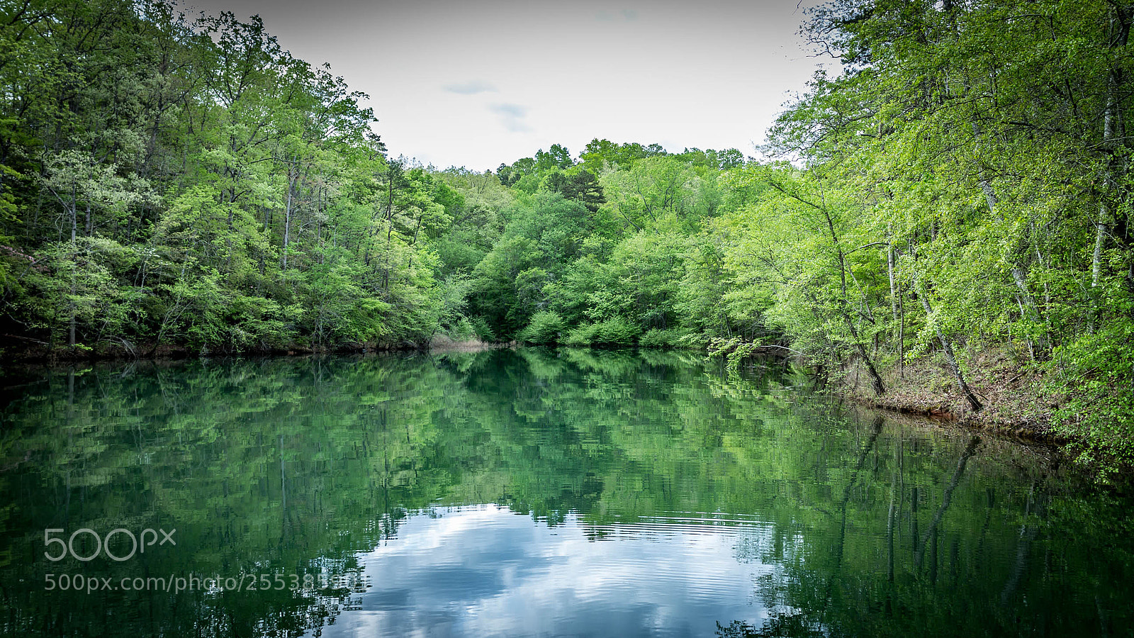 Canon EOS M sample photo. Townville oconee seneca sc photography