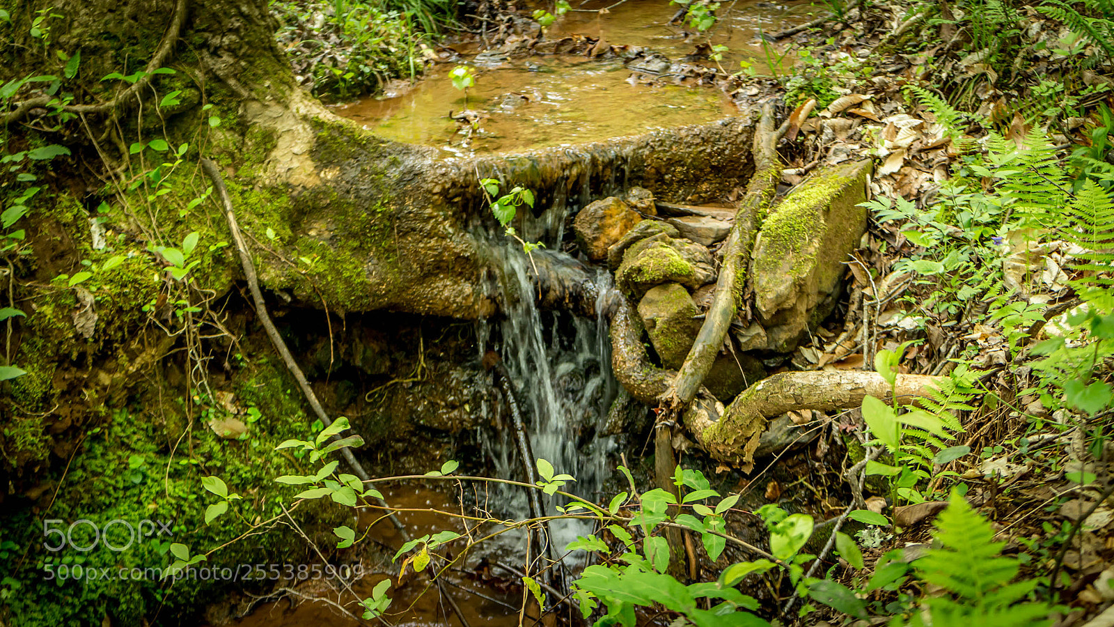 Canon EOS M sample photo. Pendleton oconee seneca sc photography