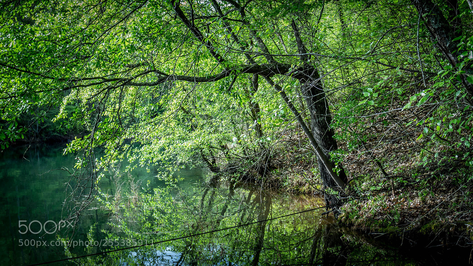 Canon EOS M sample photo. Oconee seneca sc real photography