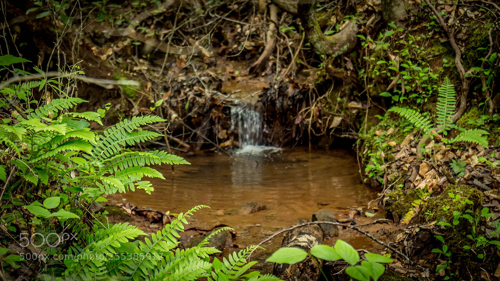 Canon EOS M sample photo. Walhalla oconee seneca sc photography
