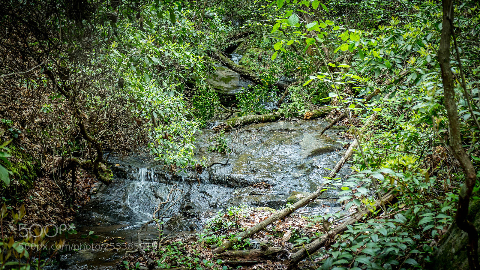 Canon EOS M sample photo. Oconee seneca sc real photography