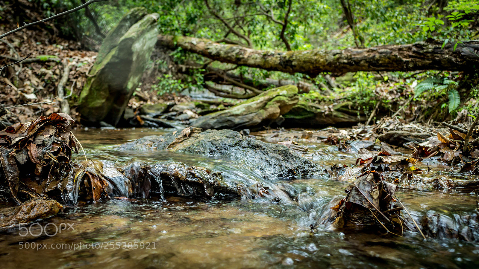 Canon EOS M sample photo. Seneca oconee seneca sc photography